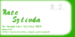 mate szlivka business card